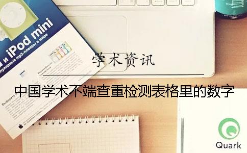 中国学术不端查重检测表格里的数字