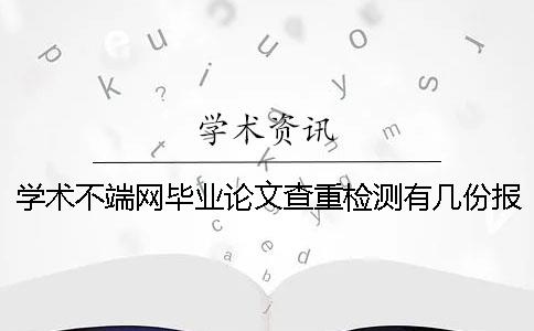 学术不端网毕业论文查重检测有几份报告文档？