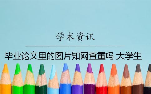 毕业论文里的图片知网查重吗？ 大学生的毕业论文可以在知网上查到吗