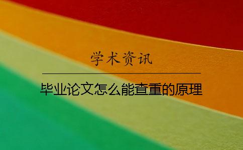 毕业论文怎么能查重的原理