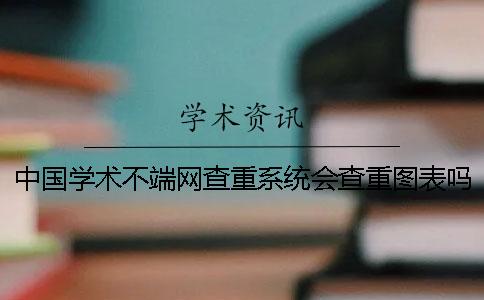 中国学术不端网查重系统会查重图表吗？